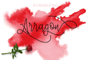 Arragon: A Modern Calligraphy Font with Purpose