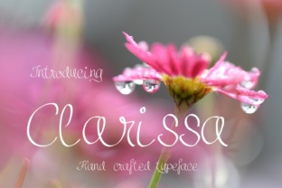 Clarissa: A Refined Script Font for Digital Branding