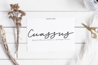 Cuassus: A Warm, Expressive Script Font for Real Branding Work
