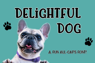 Delightful Dog: A Quirky, Polished Display Font for Small Business Branding