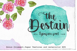 Destain: A Handwritten Brush Pen Typeface That Elevates Real Branding
