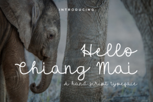 Hello Chiang Mai: A Stylish Script Font for Editorial Design