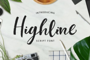 Highline: A Handcrafted Script Font That Elevates Real Small Business Branding