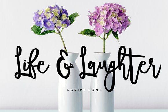 Life Laughter Font: A Warm, Professional Script for Small Business Branding