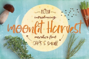 Moonlit Harvest: A Script Font That Elevates Marketing Visuals