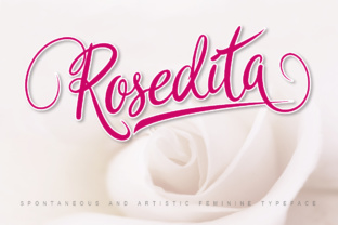 Rosedita: A Handwritten Script Font That Feels Like It Belongs